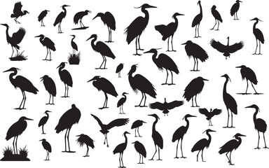 silhouettes of heron
