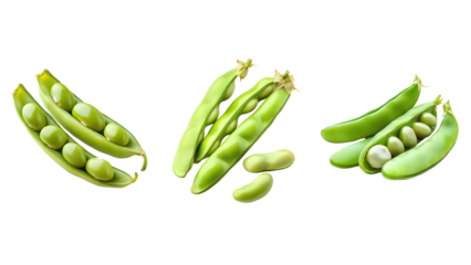 Set Fresh Green Beans Displayed Isolated on Transparent Background