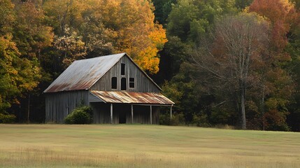 Obraz premium Rustic barn in autumnal field.