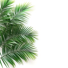 Vibrant green palm leaves nature scene plant close-up tropical