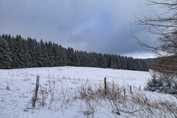 Wandern am Eisenberg, Thüringer Wald im Winter, Schmiedefeld am Rennsteig, Stadt Suhl, Thüringen, Deutschland