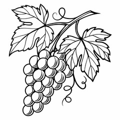 Obraz premium bunch of grapes