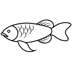 illustration of a fish