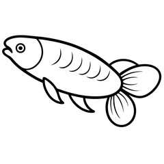 illustration of a fish