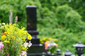 花が供えられたお墓　墓参りイメージ