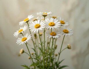 Fototapeta premium A bouquet of daisies brightens a neutral background