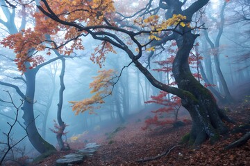 Fototapeta premium A mystical forest shrouded in blue fog, with autumn leaves gently falling. The trees stand tall and mysterious, bathed in soft, ethereal light, creating a tranquil, enchanted atmosphere.