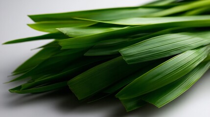 Obraz premium Vibrant Green Pandan Leaves Close-Up