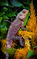 Wooden statue with a weathered look depicting ancient culture carved from wood