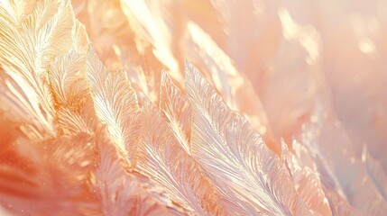 Abstract orange and white textured background.