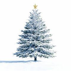Snow-covered Christmas tree with golden star on top, isolated on white background for holiday decoration and festive imagery