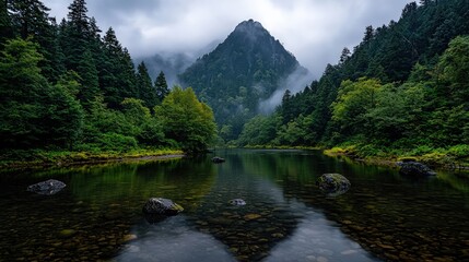 Tranquil River Flowing Gently Through Smooth Stones Surrounded by Lush Greenery Under a Clear Blue Sky Evoking Peaceful Natural Serenity and Harmony