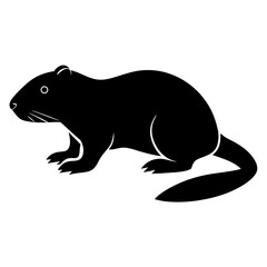 silhouette of a rat