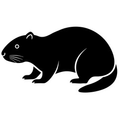 silhouette of a bear