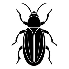 state potato beetle