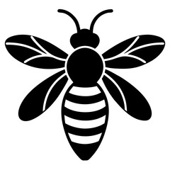 bee and flower