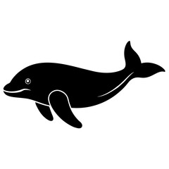 dolphin illustration