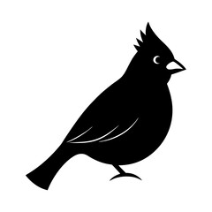 silhouette of a bird