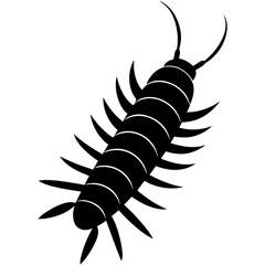 illustration of a scorpion