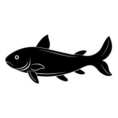 fish isolated