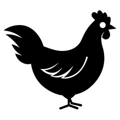 hen and rooster