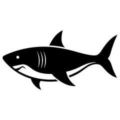 shark