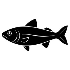 fish on a white background