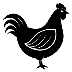 hen and rooster