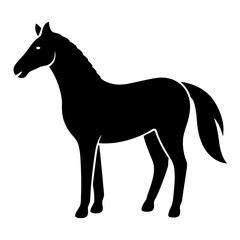horse silhouette isolated on white