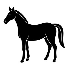 horse illustration