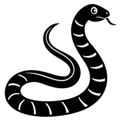 black and white snake