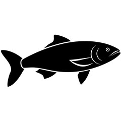fish on a white background