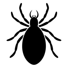 spider on a white background