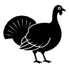 illustration of a peacock