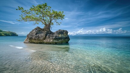 Naklejka premium Lone tree on rock in turquoise ocean.