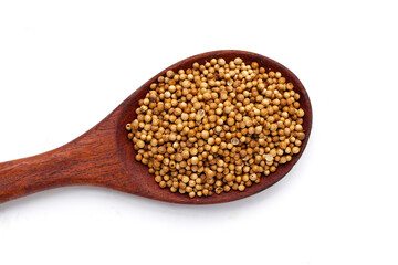 Coriander seeds, Vegetables and herbs