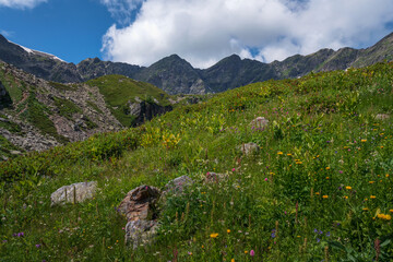 Alpine meadows in the valley of the Malaya Dukka River surrounded by the mountains of the North Caucasus on a sunny summer day, Arkhyz, Karachay-Cherkessia, Russia