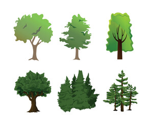Vector illustration of a collection of trees isolated on a white background.