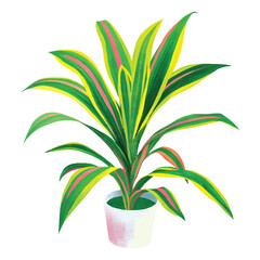 Vector Illustration of Dracaena Marginata - Tropical Greenery Plant for Nature-Inspired Projects and Eco-Friendly Projects