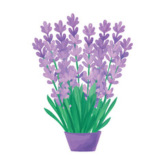Vector Illustration of Lavender - Fresh, Vibrant Flowers for Nature-Inspired Designs, Spring Themes, Floral Decor, and Modern Botanical Projects