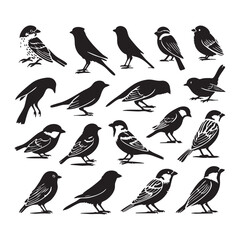 Silhouette set of sparrows on white background