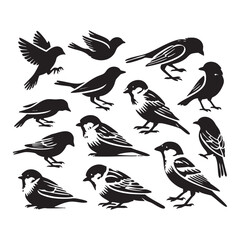 Fototapeta premium Silhouette set of sparrows on white background