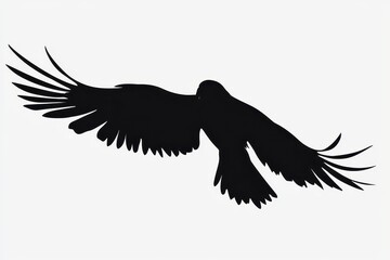 Obraz premium A striking silhouette of a bird in mid-flight with wings fully spread, set against a soft gradient sky, highlighting the grace and freedom of avian life through sharp and clean linework. 