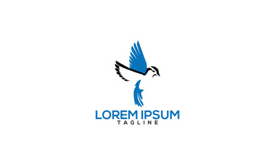 Unique bird logo Modern and minimalist vector and abstract logo