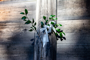 神社に供えられた榊