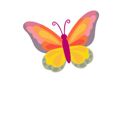 Vibrant Butterfly of the Autumn Season