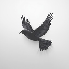 Black bird in flight with shadow.