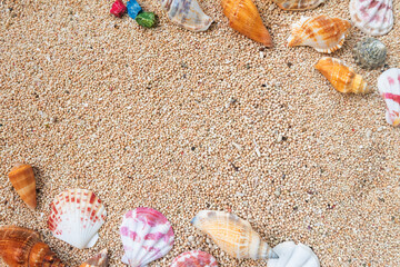 seashell frame on beach sand