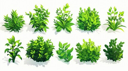 Naklejka premium Collection of Green Bushes and Shrubs