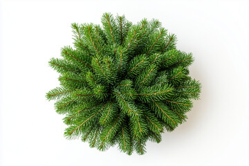 Christmas Tree Top View Festive Fir Tree Decoration with Ornaments Isolated on Transparent PNG or White Background